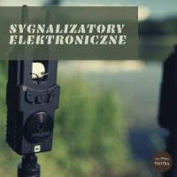 Sygnalizatory elektroniczne