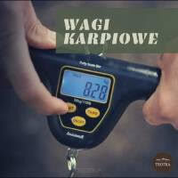 Wagi Karpiowe