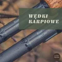 Wędki karpiowe