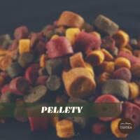 Pellety Karpiowe