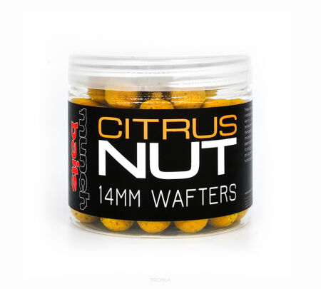 Seria - Citrus Nut