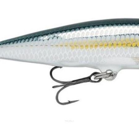 Rapala