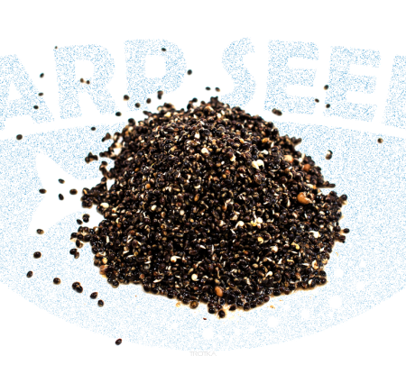 CarpSeeds -20%