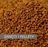 Zanęty i pellety