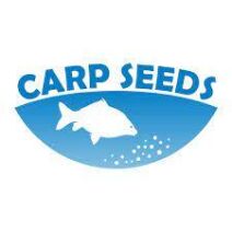 CARP SEEDS