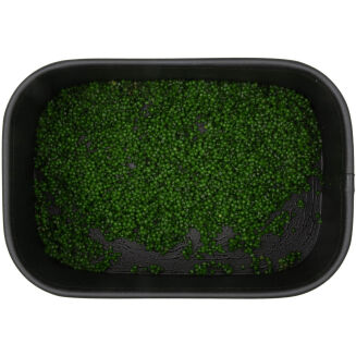 Liquid BaitNow Method Feeder Voo-doo Hybrid 50ml - 4