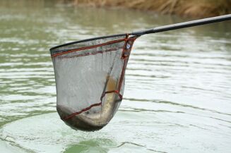 Kosz podbieraka Guru Competition Landing Net SF500 - 3