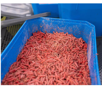 Pojemnik Preston 6Pt Bait Tub - 4