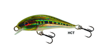 Dorado Sanky Sinking 4.5cm 2.5g HCT