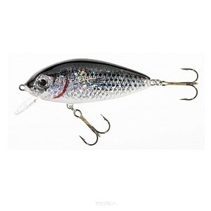 Wobler Jaxon Holo Select - Tingo 7cm 12g - FSL VJ-TI07FSL