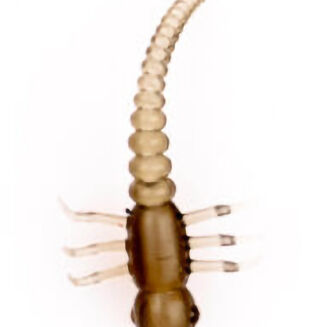 Pozycjoner Haczyka Under Carp Robak - Brązowy - 2