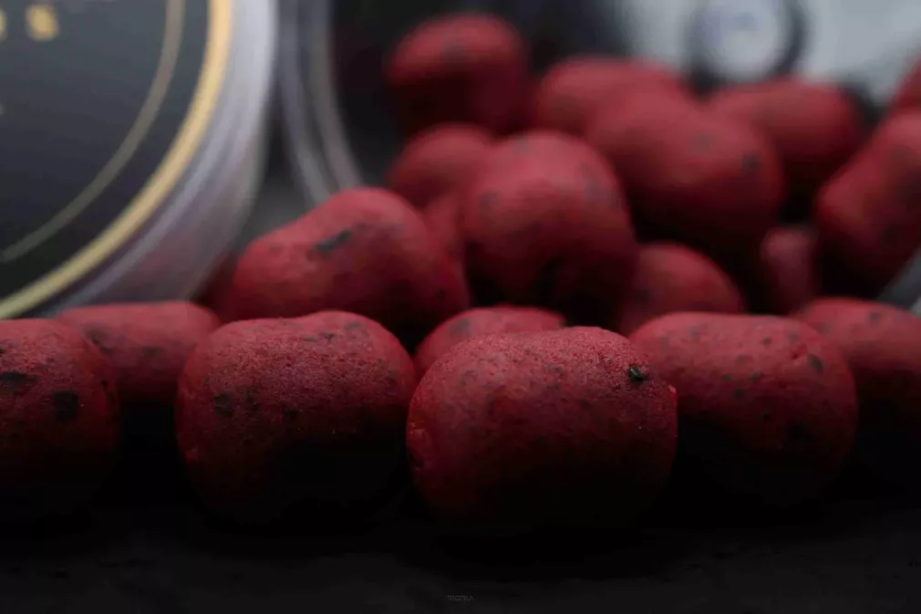 Dumbells Wafters Forgotten Flavours 18x16mm - Wayne Dunn Marine1