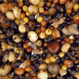 Mieszanka Ziaren Nash Small Seed Mix 2,5l - 2