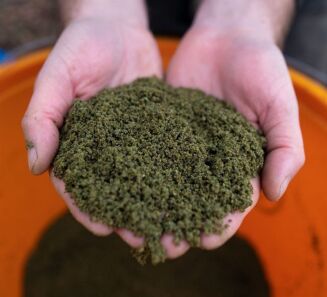 Zanęta Sonubaits Pro - Thatchers Green 900g - 3