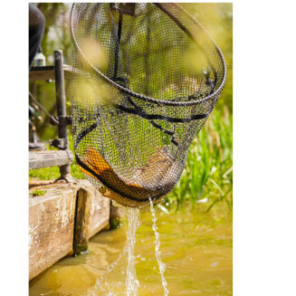 Głowa Do Podbieraka Preston Carbon F1 Latex Landing Net 16