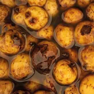 Orzechy Tygrysie Nash Sweet Tiger Nuts 0,5l - 2