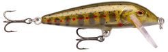 Rapala CountDown CD05 5cm Gold Juvenile Trout