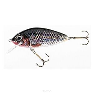 Wobler Jaxon Holo Select - Tingo 5cm 7g - FP  VJ-TI05FP
