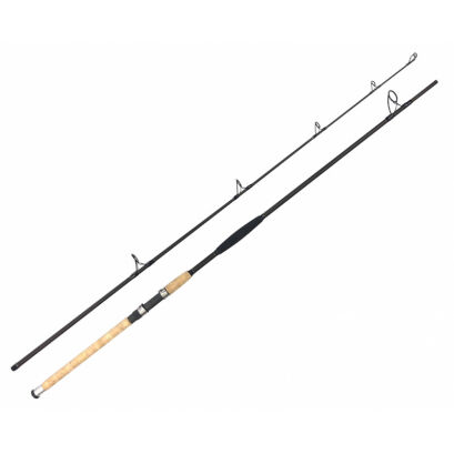 ZFish Rod Catfish Morga 270cm 100-400g wędka