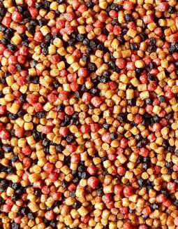 Pellet Feeder Bait Prestige Spice 2mm - 2