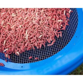 Sito Preston Riddle - 4mm - 2