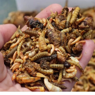 Stick Mix Subgrubs Active Insect Up & Down 1kg - 3
