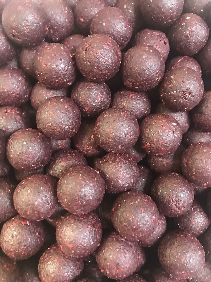 Kulki Proteinowe TCT -  Spicy Squid 18/20mm 10kg