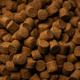 Pellet Skretting Coarse Fish 11mm 25kg - 2