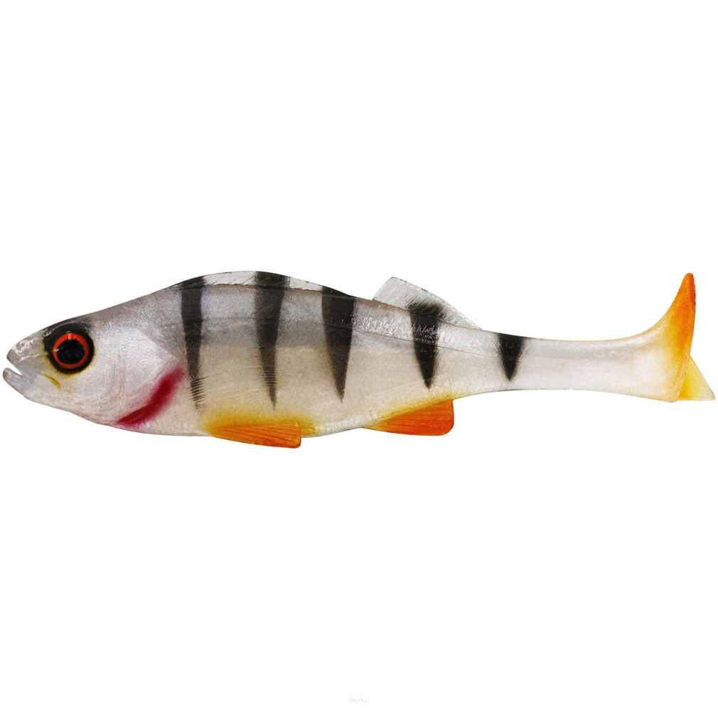 Guma Westin Original Perch 18cm 61g T Perch Box