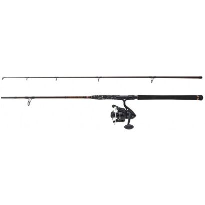 Penn Legion Cat Bronz Vertical 192 300-600g Combo