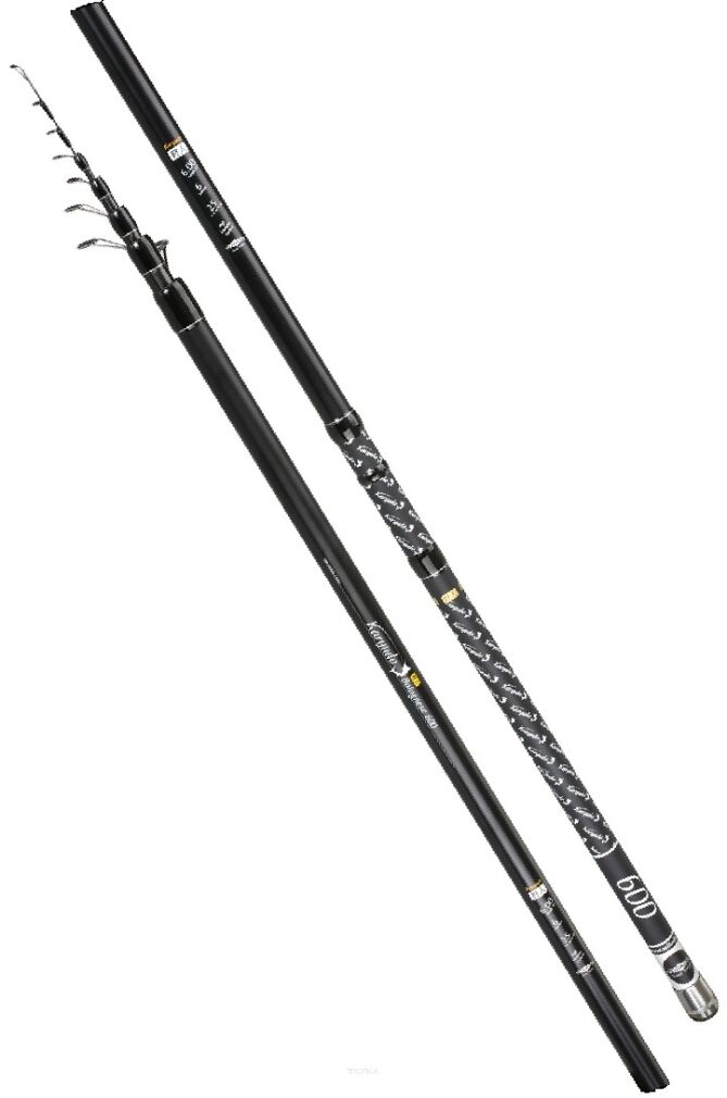 Wędka Mikado Karyudo Bolognese 6m 25g