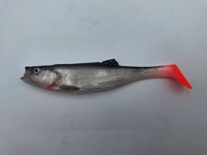 Guma Alpha Real Fish 11cm - Ukleja