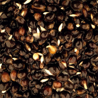 Konopie Nash Oily Hemp 2.5l - 2