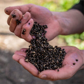 Konopie Nash Oily Hemp 2.5l - 3