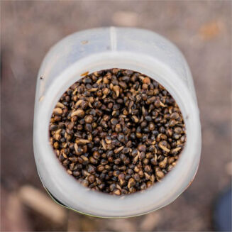 Konopie Nash Oily Hemp 2.5l - 4