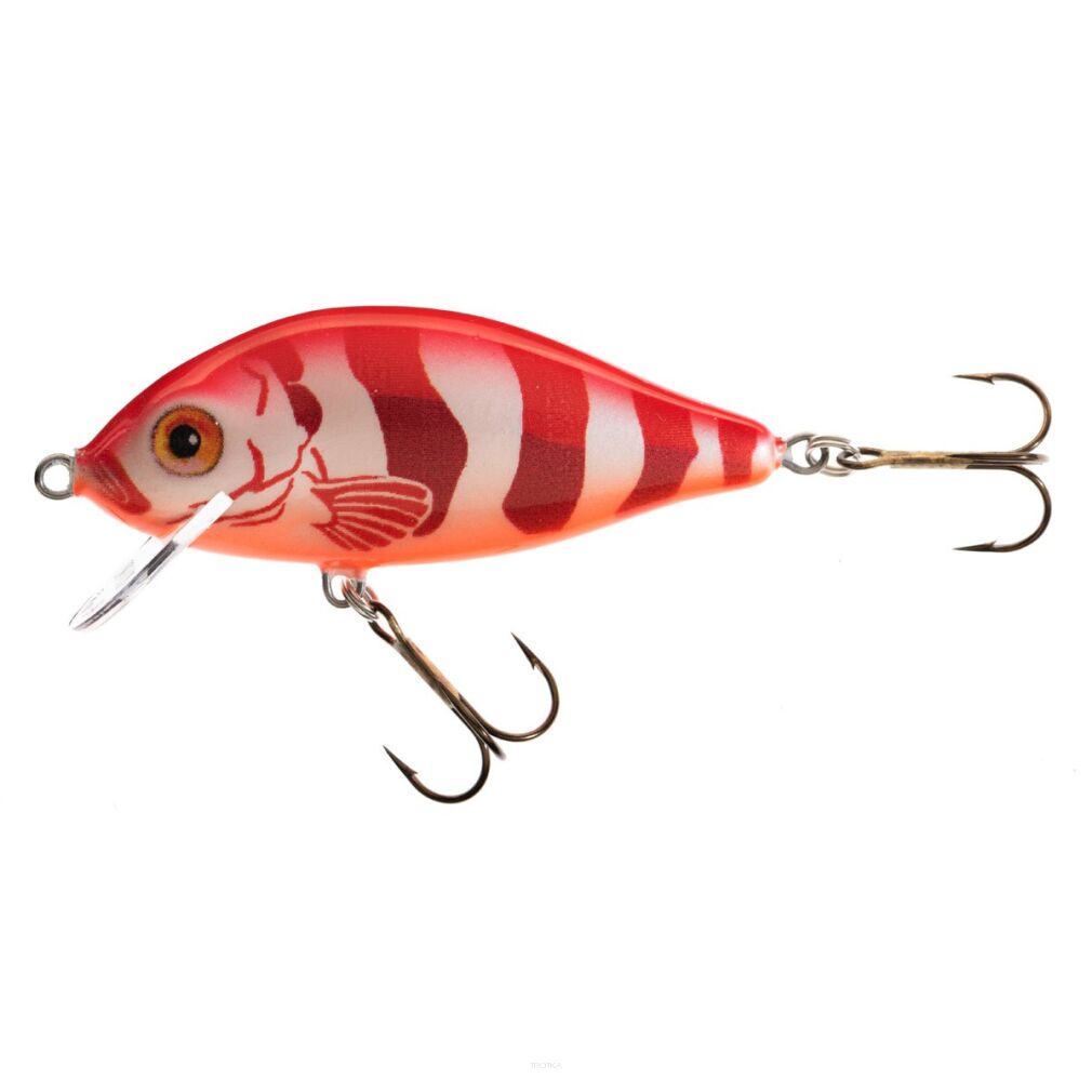 Wobler Jaxon HS Karaś 6cm F - RE