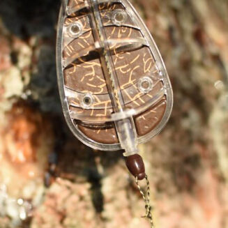 Koralik Do Szybkiej Wymiany Under Carp - Zielony - 4