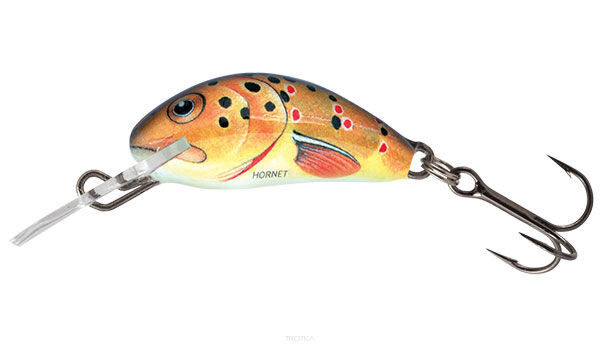 Salmo Hornet 3.5cm 2.6g Trout Sinking wobler