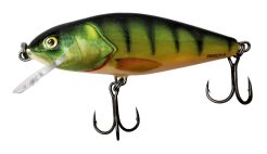 Salmo Wobler Perch 8cm Perch Floating