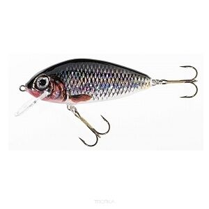 Wobler Jaxon Holo Select - Tingo 7cm 12g - FP  VJ-TI07FP