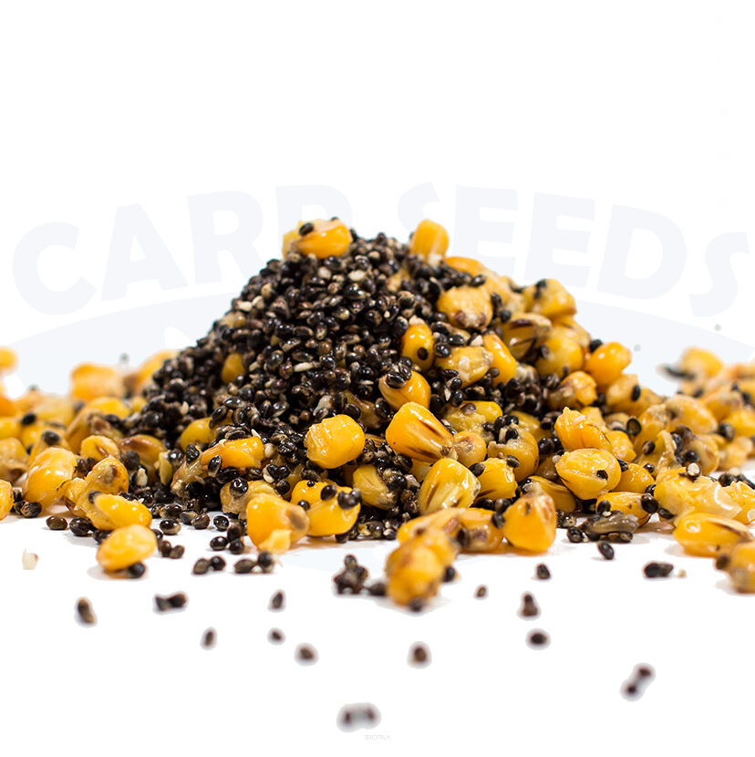 Ziarno Carp Seeds - Miks B - Konopie Kukurydza 2kg