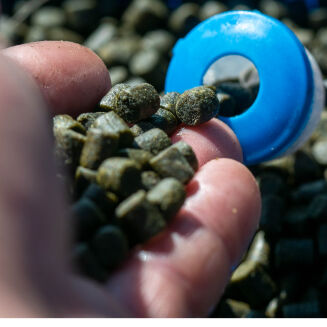 Pellet Sonubaits Marine Green Feed Pellets 8mm 900g - 3