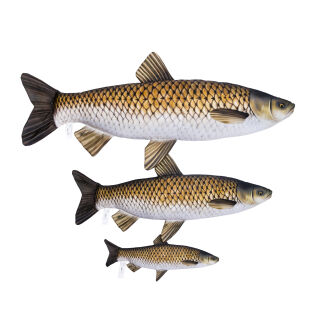 Pluszak/ Poduszka Amur 75cm - 3