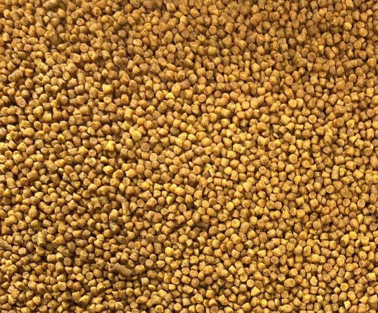 Pellet zanętowy Stalomax Karpiowy 1kg, 2mm - Kukurydza