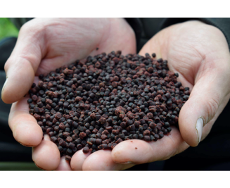 Pellet Sonubaits Halibut - Spicy Sausage 6mm 900g - 3