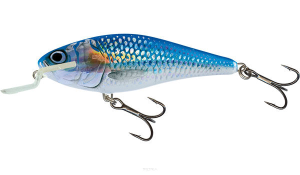 Salmo Executor Shallow Runner 5cm 5g Holo Shiner Floating wobler