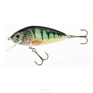Wobler Jaxon Holo Select - Tingo 7cm 12g - FOCVJ-TI07FOC