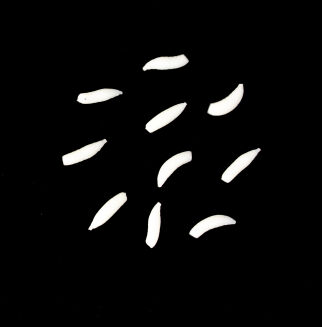 Sztuczny biały robak pływający - 2