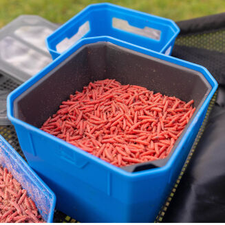 Pojemnik Preston 4Pt Bait Tub - 5