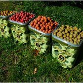 K.proteinowe Stalomax 20mm - Monster Fruit 0,5kg